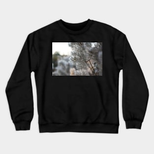 Fall Field Crewneck Sweatshirt